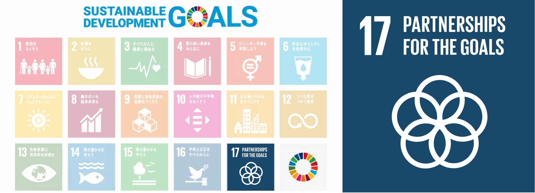 SDGs目標17「パートナーシップで目標を達成しよう」
